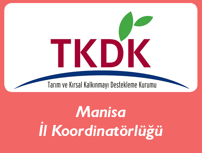 TKDK