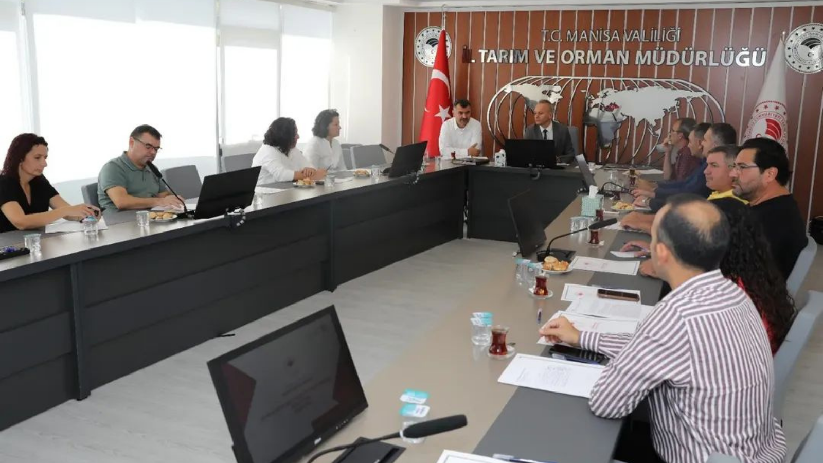 MANSA'DA ZEYTN REKOLTE TESPT ALIMALARI TAMAMLANDI