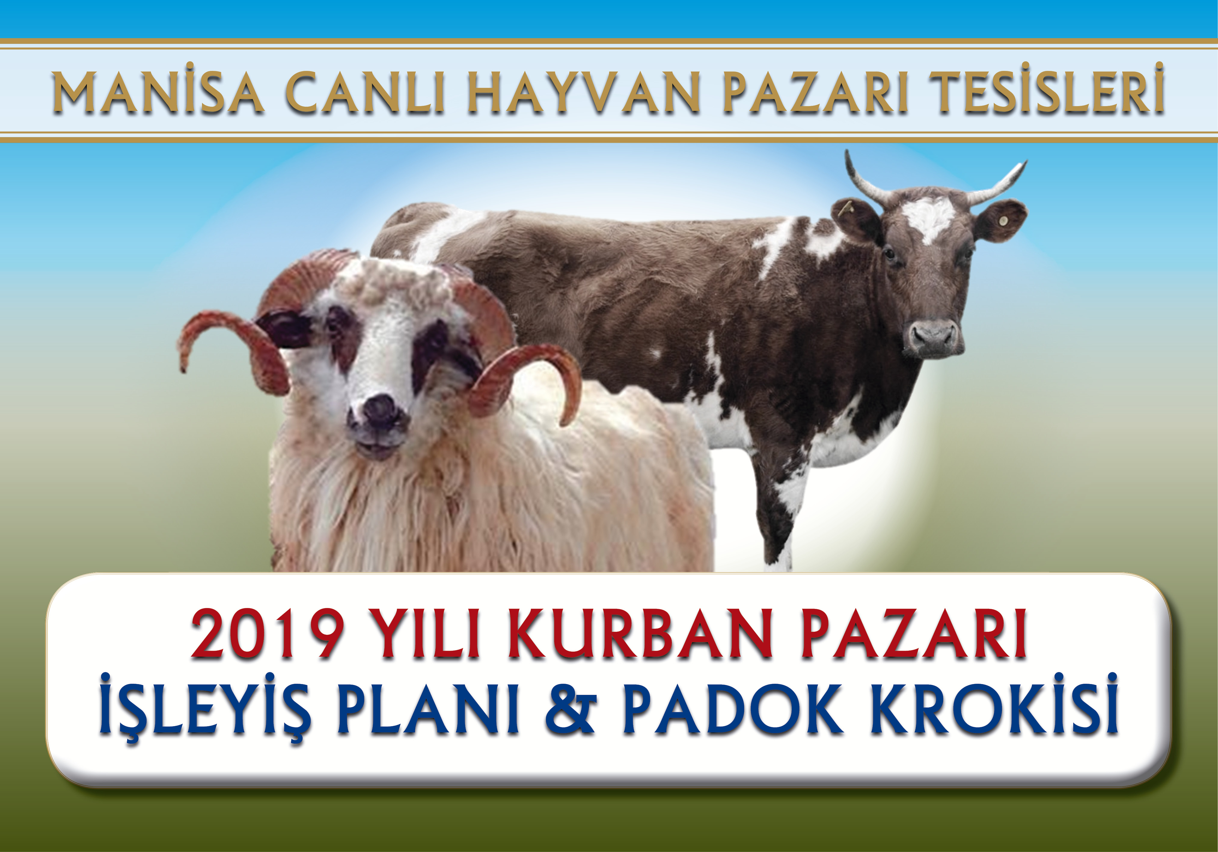 2019 YILI KURBAN PAZARI LEY PLANI & PADOK KROKS