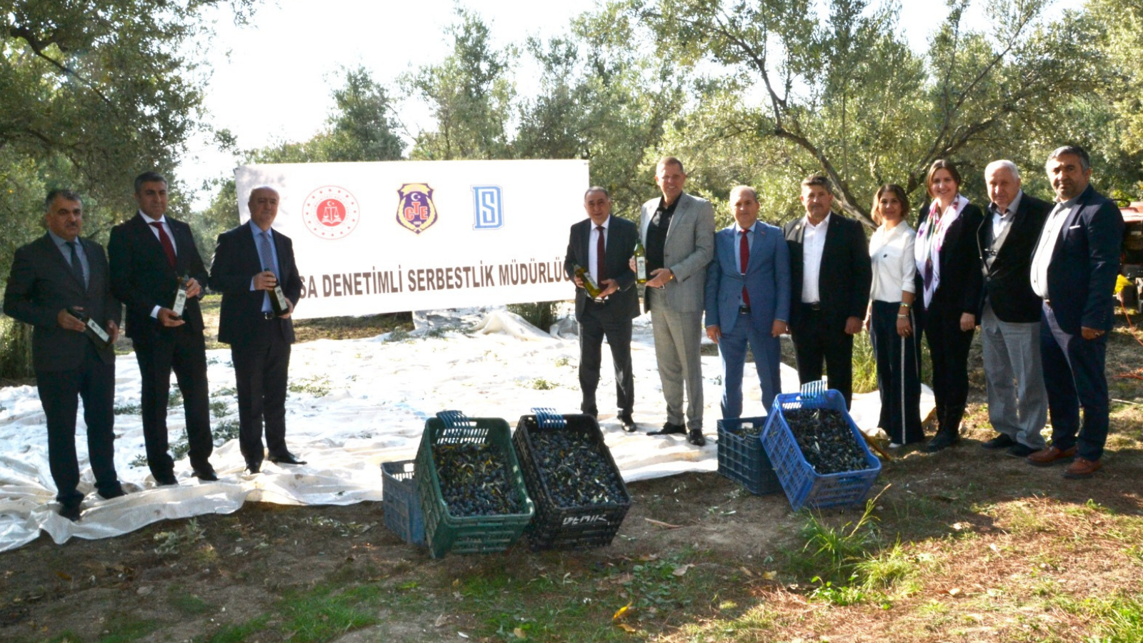 SARMA KY LKOKULU'NDA ZEYTN HASADI GEREKLETRLD