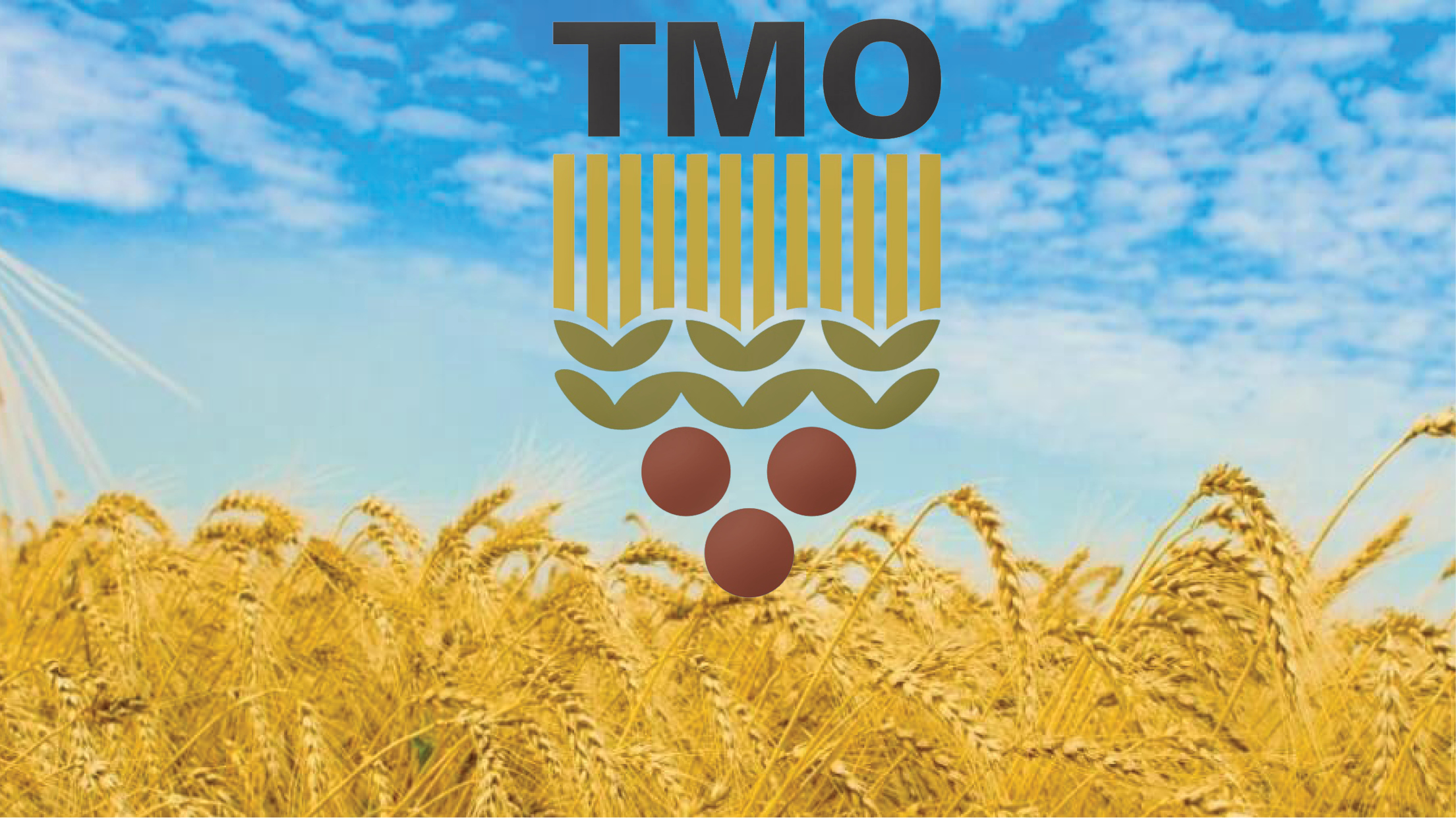 T me tmo up. TMO. TMO logo. TMO Superevents. MITIS TMO.