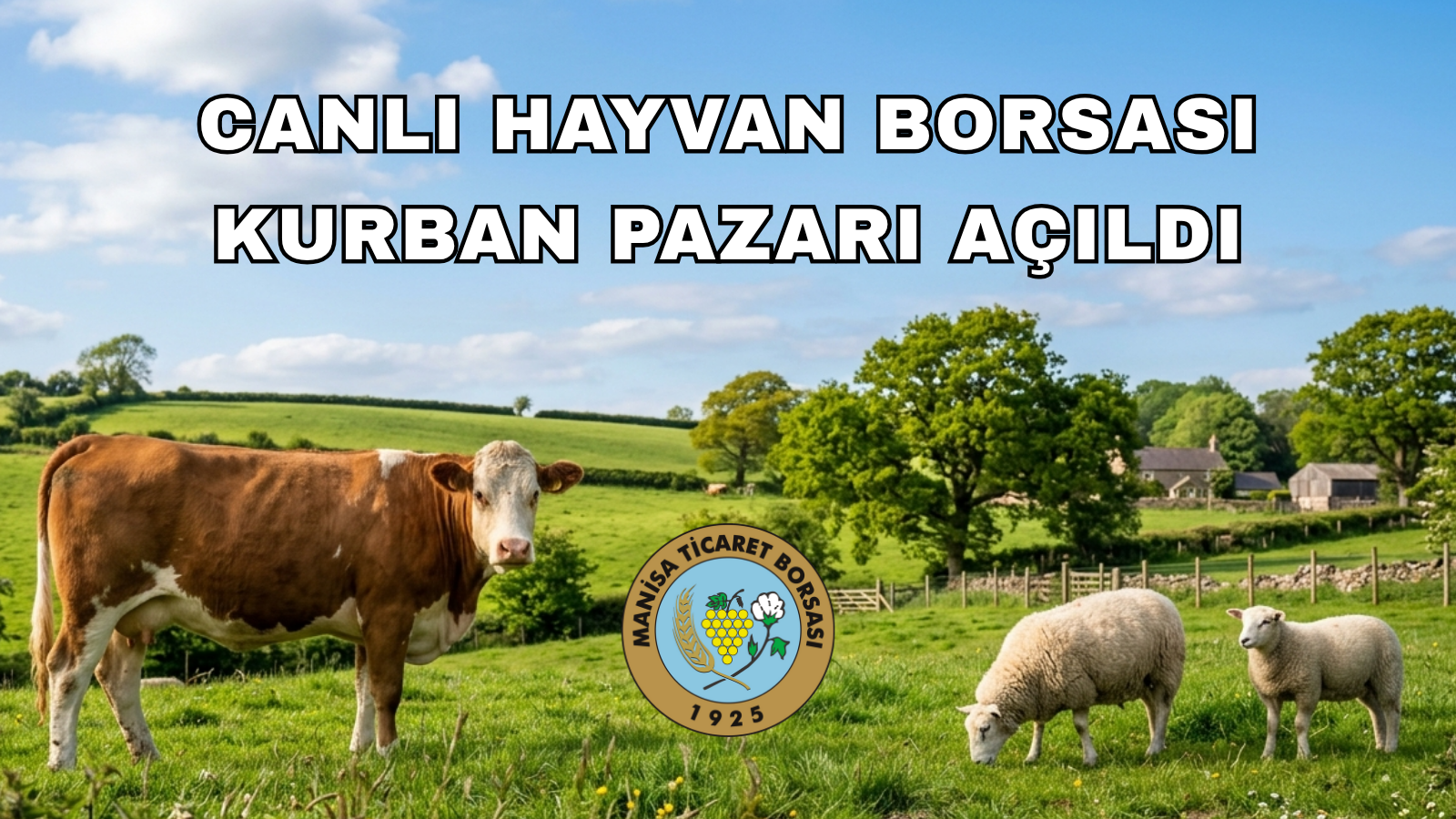 2026 YILI CANLI HAYVAN BORSASI KURBANLIK SATIŞLARI BAŞLADI