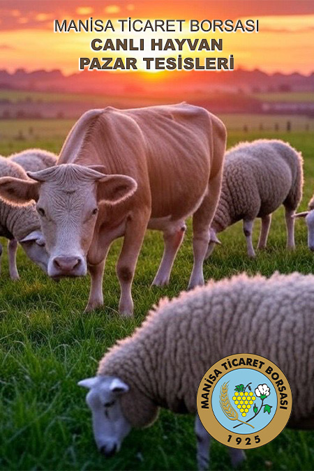Hayvan Pazarlar�n�n A��lmas�